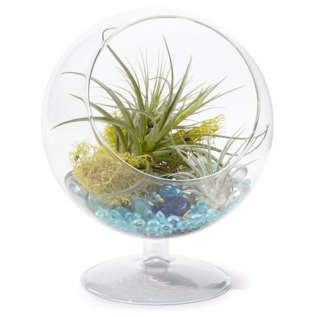 VISTA 6 in. Slant Cut Pedestal Bowl Arrangement VI2626623